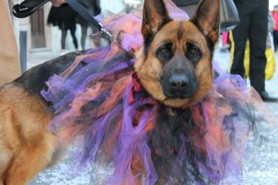 carnevale-2017-civitanova-1-400x267