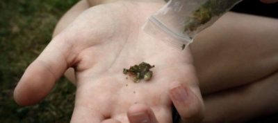 marijuana-piccola-dose-