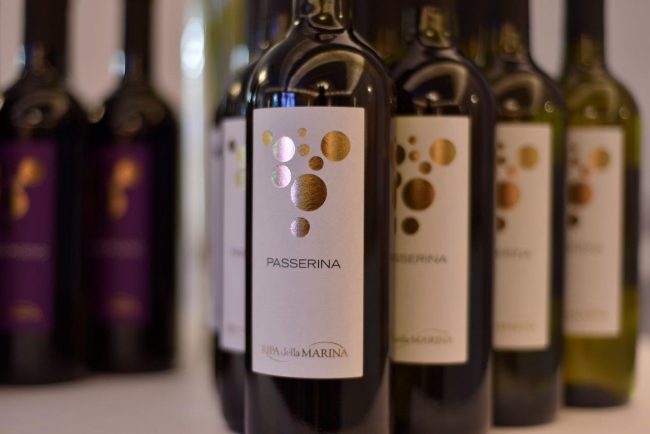 vini-ripa-della-marina-sanremo-6-650x434