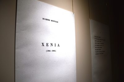 Xenia1-400x266