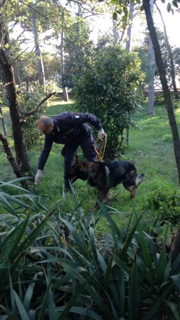 blitz-polizia-pineta-porto-recanati-10-366x650