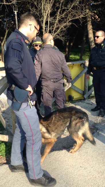 blitz-polizia-pineta-porto-recanati-3-366x650