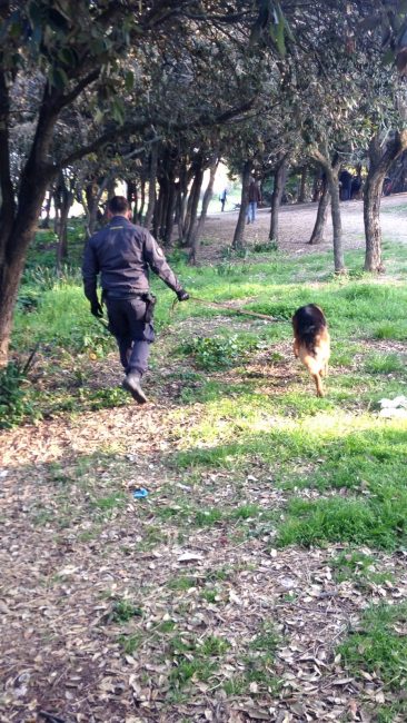 blitz-polizia-pineta-porto-recanati-8-366x650