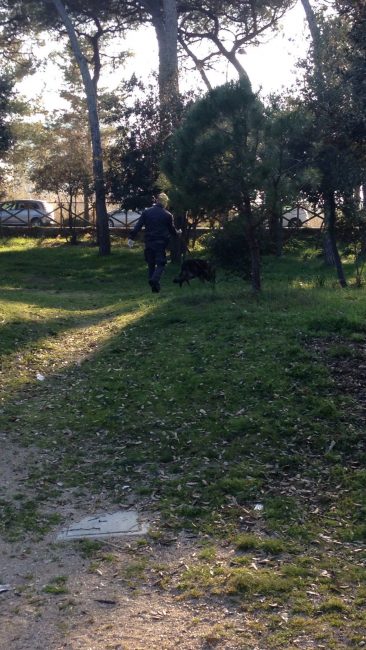 blitz-polizia-pineta-porto-recanati-9-366x650