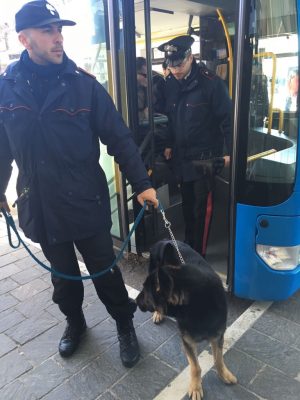 carabinieri_cinofili-2-300x400