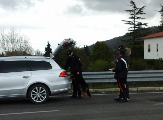carabinieri_cinofili-3-650x479