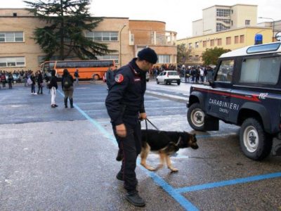 carabinieri_unita_cinofila-Loreto