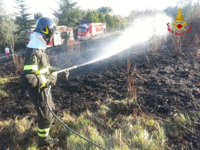 incendio-sterpaglie