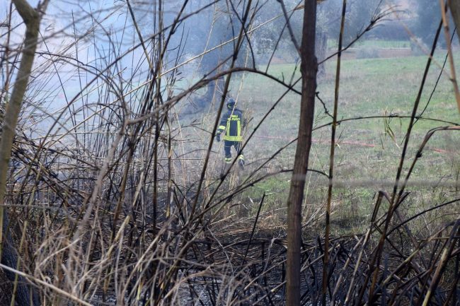 incendio-sterpaglie-civitanova-alta-FDM-1-650x433