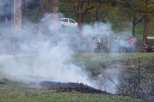 incendio-sterpaglie-civitanova-alta-FDM-2-650x433