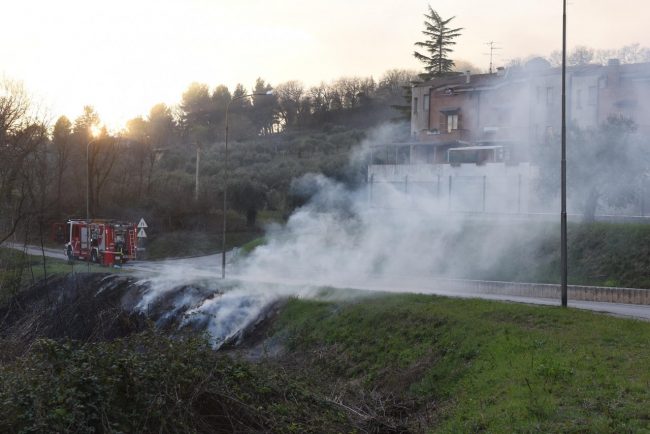 incendio-sterpaglie-civitanova-alta-FDM-5-650x434
