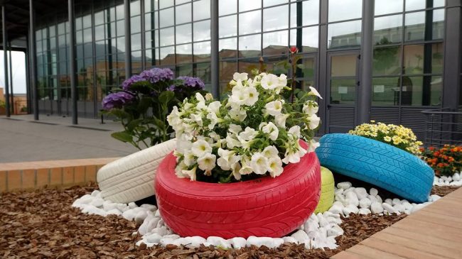 Fiori-di-Campus-2-650x365