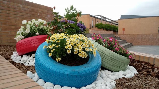 Fiori-di-Campus-3-650x365
