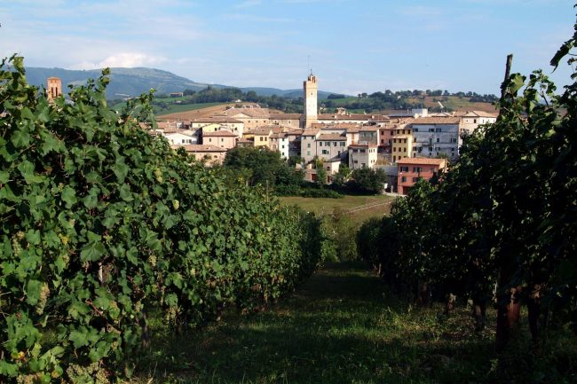 Matelica-dai-vigneti