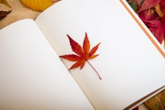carta-diario