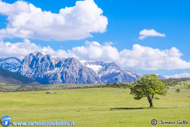 escursione-sibillini-1-650x433