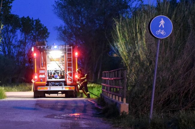 incendio-canneto-pista-ciclabile-foce-del-chienti-vdf-civitanova-FDM-2-650x433