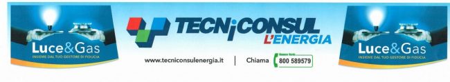 tecniconsul