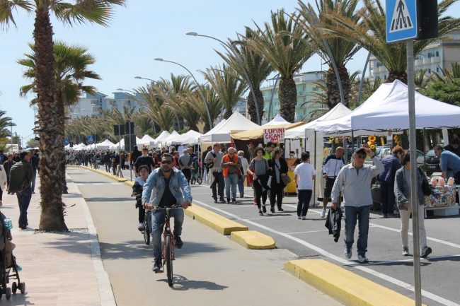 1-maggio-2017-civitanova-6-650x433