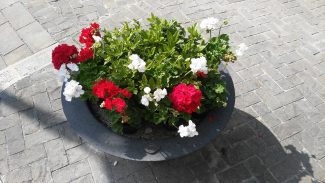 Fioriere