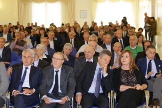 Platea