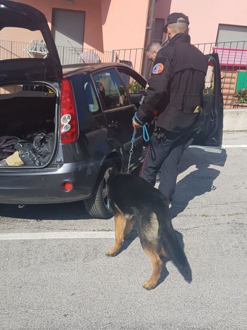 controlli-carabinieri-scuole-1-488x650