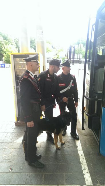 controlli-carabinieri-scuole-3-367x650