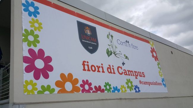 cortili12-650x366