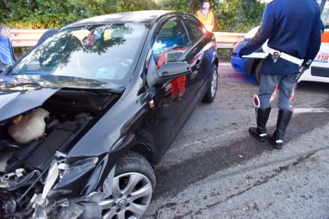 incidente-superstrada-cane-carreggiata-morrovalle-1-650x434