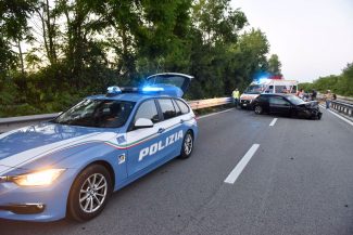 incidente-superstrada-cane-carreggiata-morrovalle-2-325x217