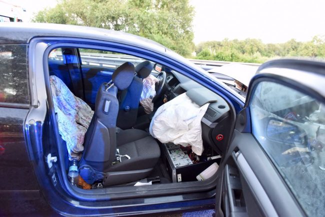 incidente-superstrada-cane-carreggiata-morrovalle-3-650x434