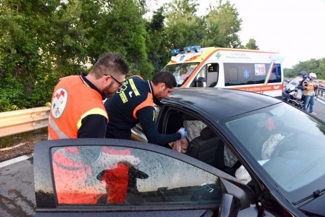 incidente-superstrada-cane-carreggiata-morrovalle-4-650x434