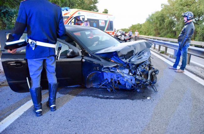 incidente-superstrada-cane-carreggiata-morrovalle-7-650x427