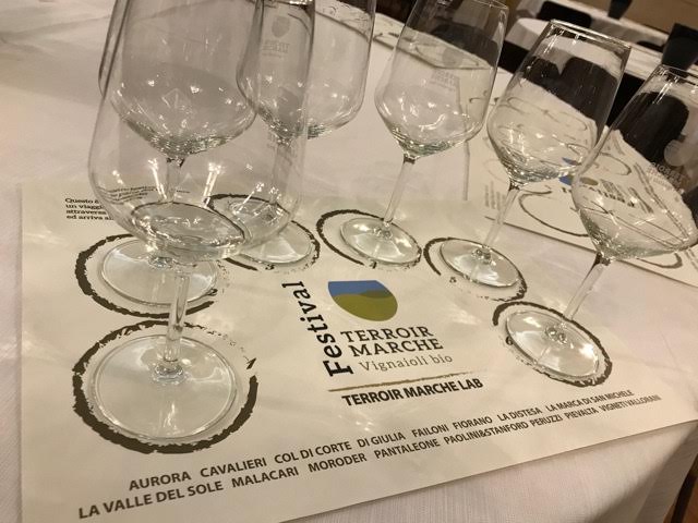 terroir-5