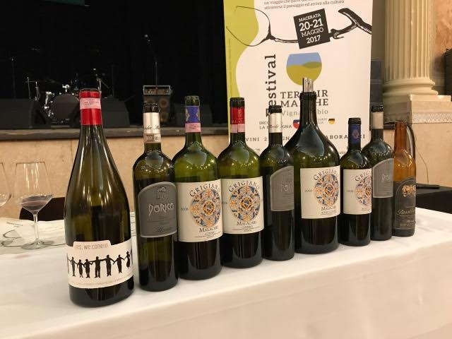 terroir-6