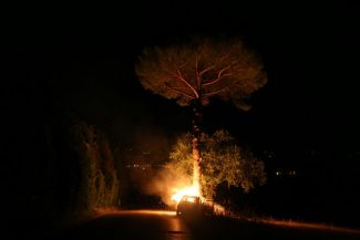 IMG_7109-325x217
