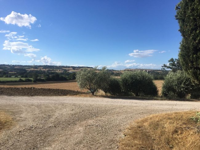 campo-fondazione-2-650x488