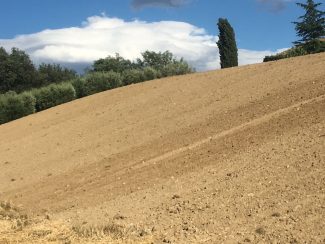 campo-fondazione-3-325x244