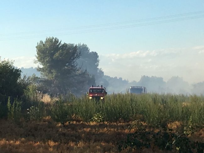 incendio-civitanova-2-650x488