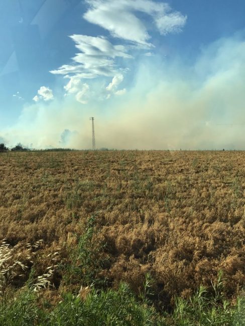 incendio-civitanova-alta-4-488x650