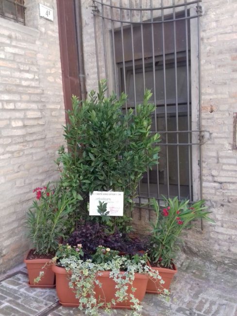 verde-scalette-macerata-2-488x650
