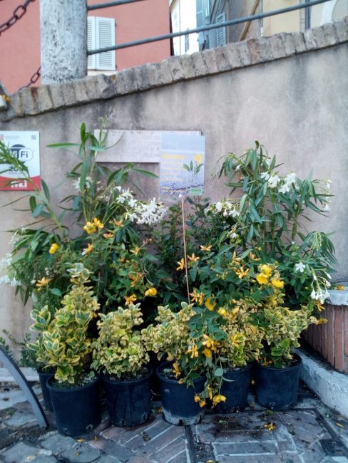 verde-scalette-macerata-8-488x650