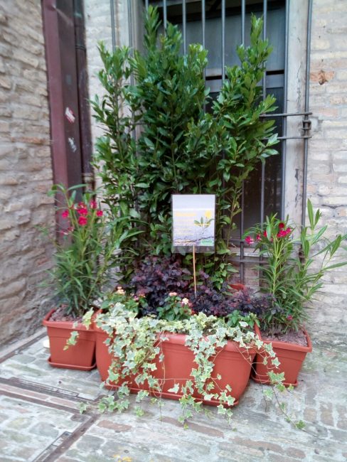 verde-scalette-macerata-9-488x650