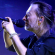 yorke