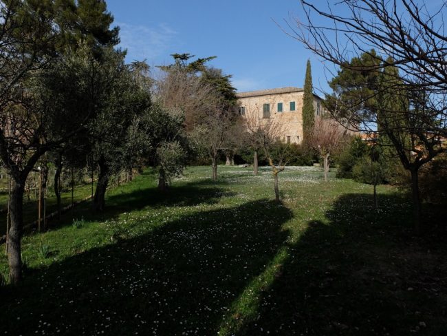 6.-Orto-delle-Monache-sul-Colle-dellInfinito-Recanati-MC-©-FAI-Fondo-Ambiente-Italiano-650x488