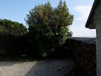 8.-Orto-delle-Monache-sul-Colle-dellInfinito-Recanati-MC-©-FAI-Fondo-Ambiente-Italiano-325x244