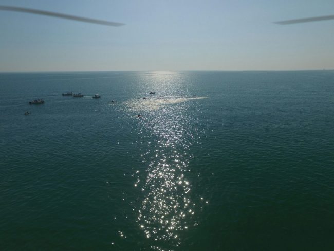 Nuotatona-civitanova-2-650x488