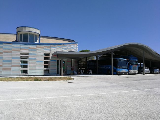 autoscuola_marche-1-650x488