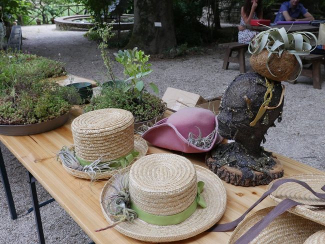 cappelli