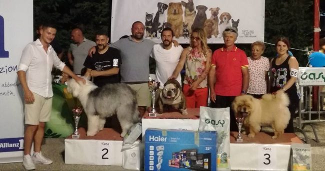 dog-expo1-650x343